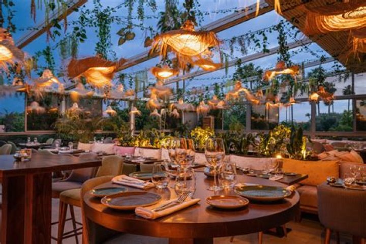 A Culinary And Nightlife Odyssey