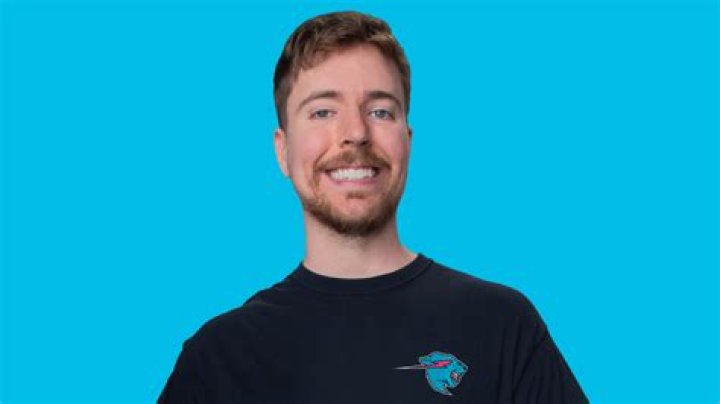 A Deep Dive Into MrBeast's Fan-Fueled Cleanup Initiative