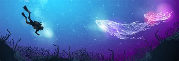 A Deep Dive Into The