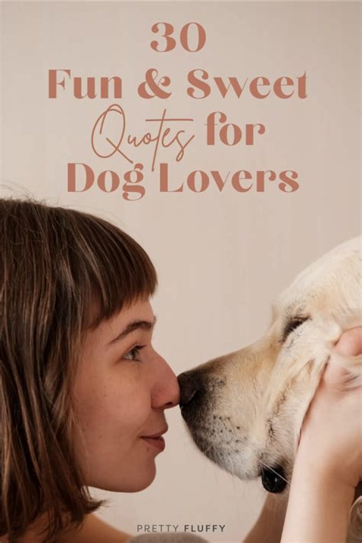 A Haven For Pet Lovers
