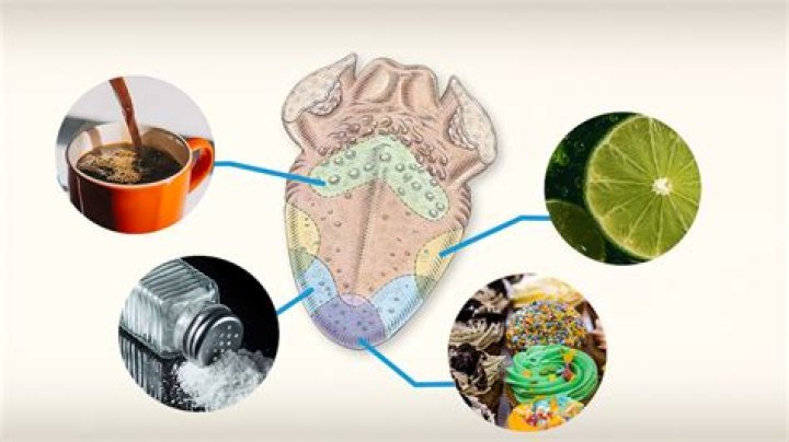 A Journey Into Flavor And Texture