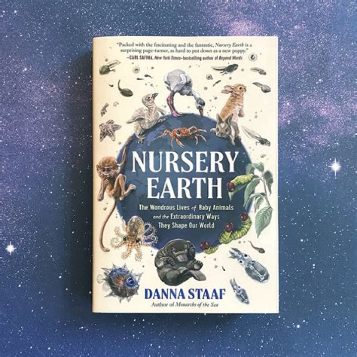 A Journey Into History And Hurricane Spirit