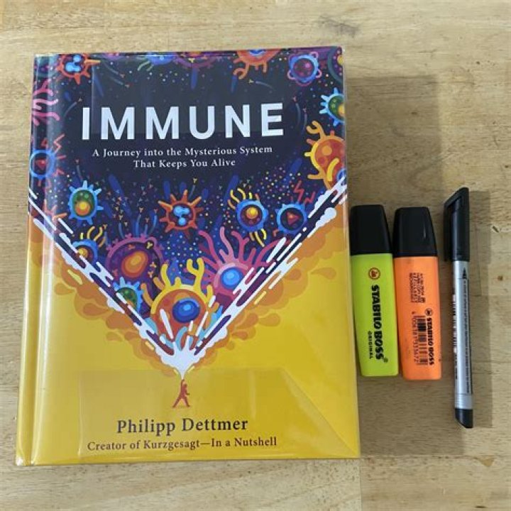 A Journey Into Internet Humor And Cultural Commentary