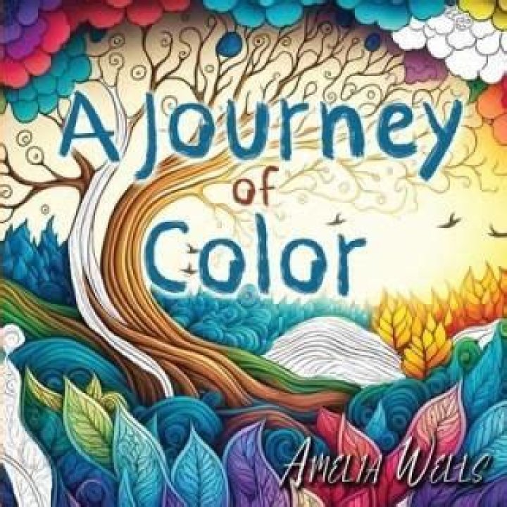A Journey Of Color, Detail, And Narrative