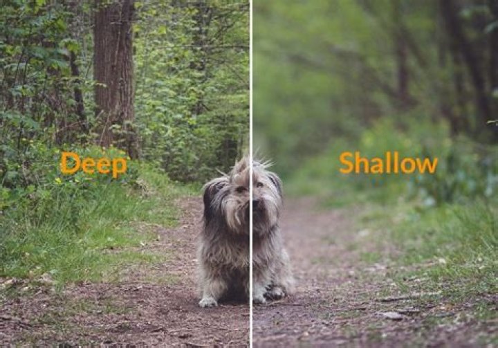 A Journey Of Depth And Transformation