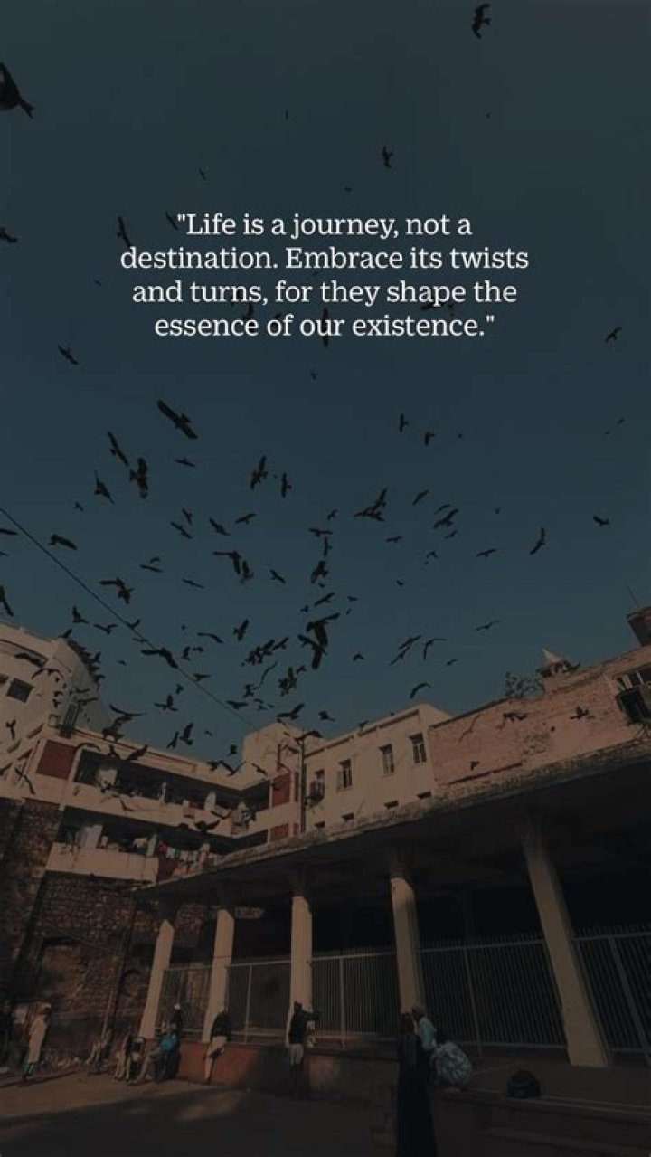 A Journey Of Discovery In 2024