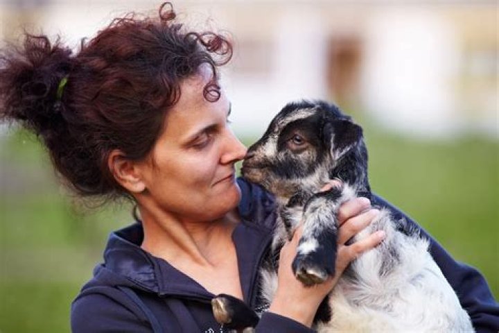 A Journey Of Love And Animal Advocacy