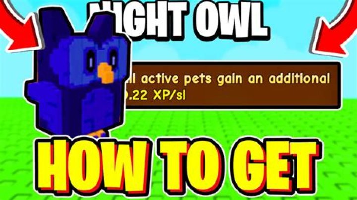 A Night Owl's Guide To Internet Nirvana