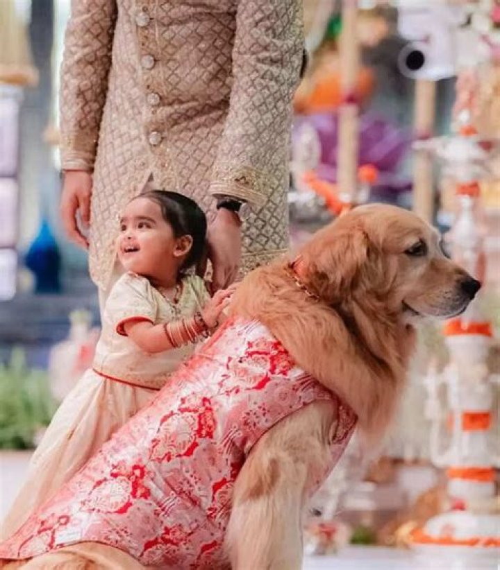 Aadiya Piramal's Illustrious Great-Grandparents: A Legacy Of Influence And Impact