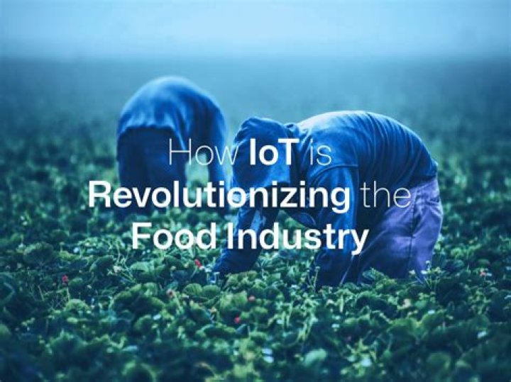 Adam Ried Partner: The Visionary Leader Revolutionizing the Food Industry