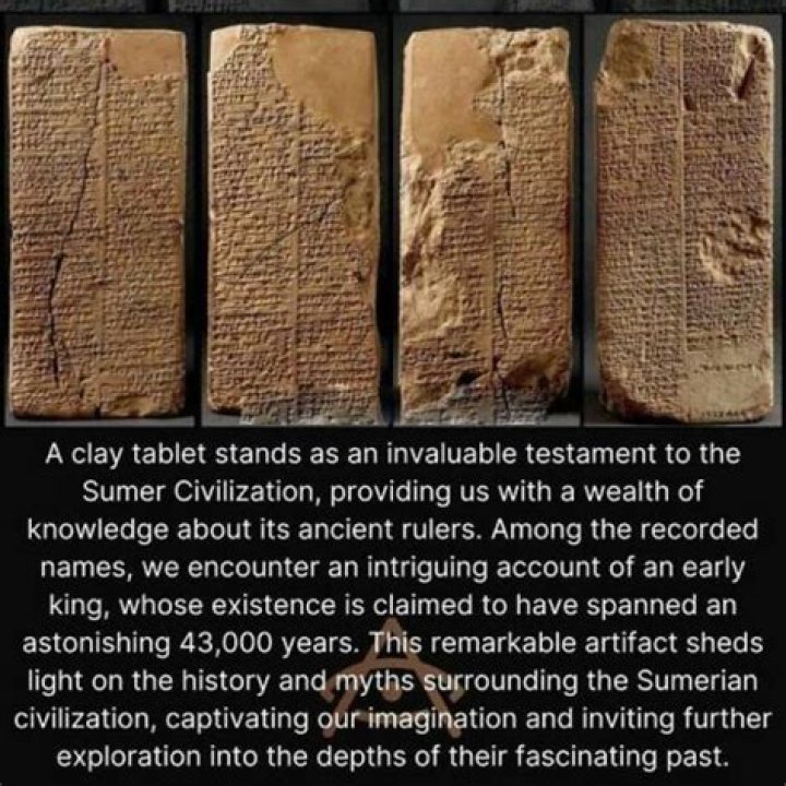 Age, Career, And Intriguing Facts Unveiled