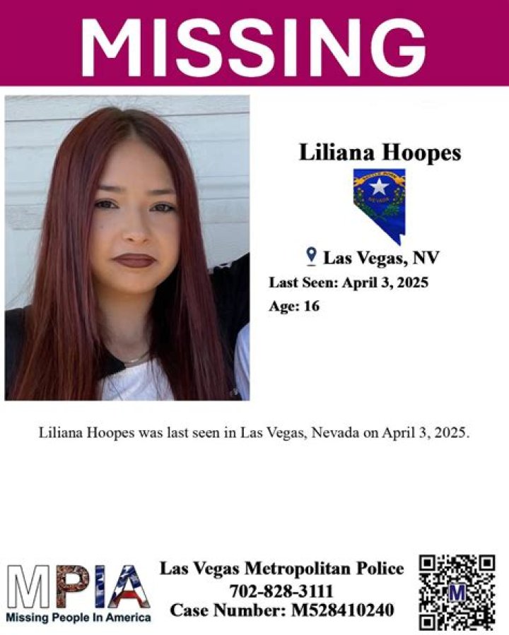 Ashley Liliana Botelho's Missing Case