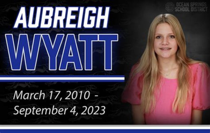 Aubreigh Wyatt Bully Arrested: A Deep Dive into the Incident and Its Aftermath