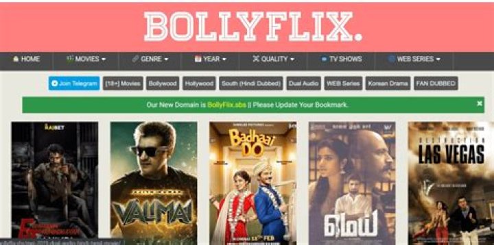 BollyFlix.com 2024: Your Ultimate Guide to Streaming Bollywood Movies