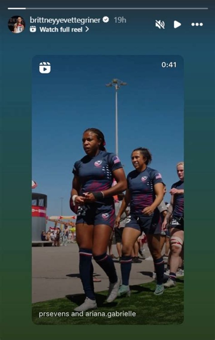 Brittney Griner's Brother: A Sibling's Perspective