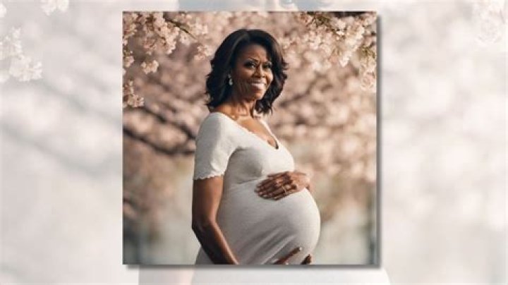 Capturing The Moments: Michelle Obama Pregnancy Pic