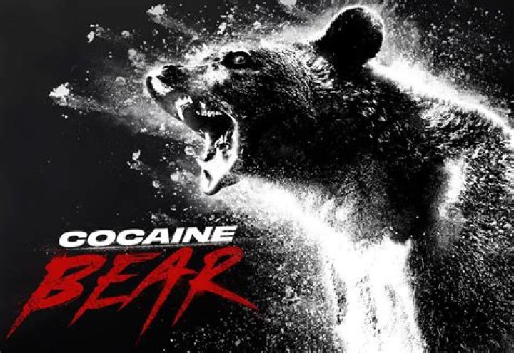 Cocain Bear: The Meme That Took The Internet By Storm