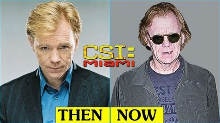 David Caruso: Talented Actor And TV Icon