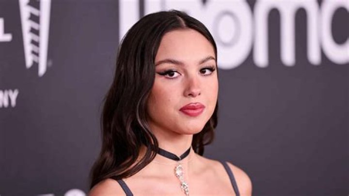 Did Olivia Rodrigo Have Any Brothers Or Sisters? - Explored