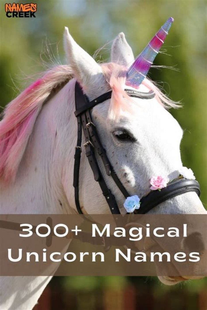 Discover Enchanting Unicorn Names For Your Mystical Companion