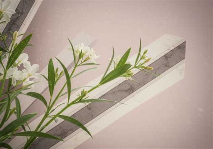 Discover Hidden Details And Intriguing Insights