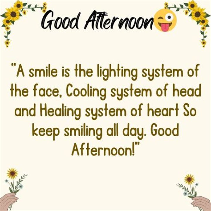 Discover The Best Funny Good Afternoon Quotes