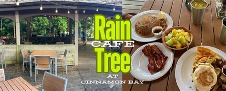 Discover The Enchanting Shores Of Cinnamon Bay, St. John