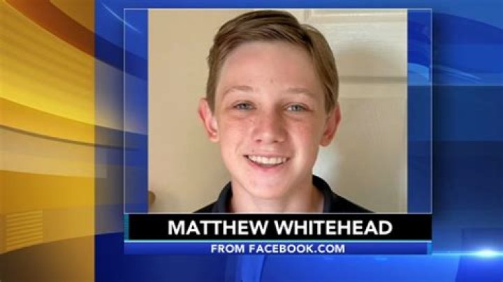 Discover The Transformative Power Of Therapy With Ruth DiRienzo Whitehead Horsham