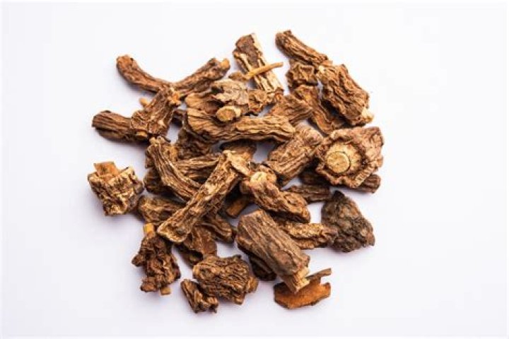 Discover The Wonders Of Kankamol: A Potent Herb With Remarkable Benefits