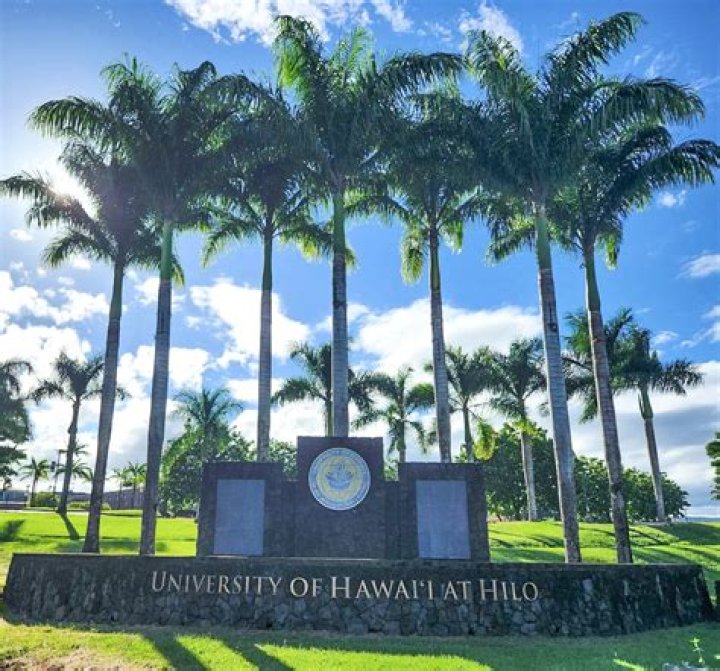 Discover Victoria Prince University Of Hawaii For Limitless Possibilities