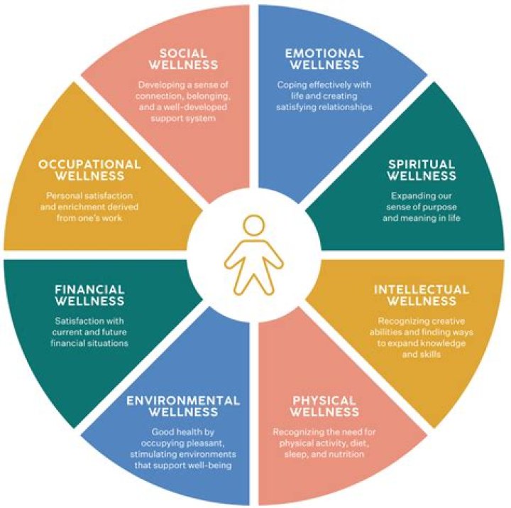 Discoveries And Insights For Holistic Well-being