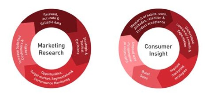 Discoveries And Insights For Marketing Success