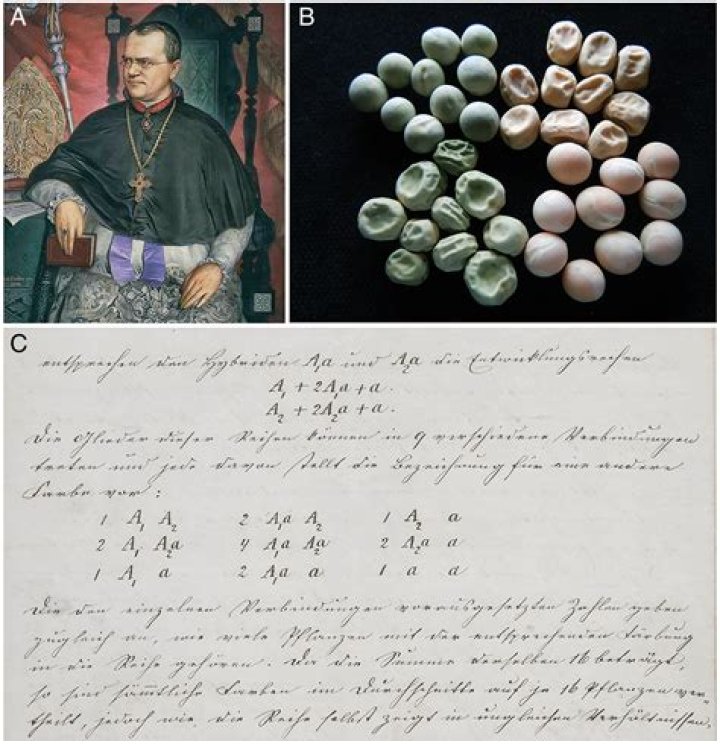 Discoveries And Insights Into A Multifaceted Artist