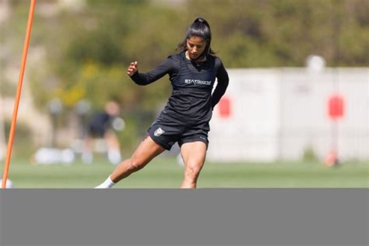 Discoveries And Insights Into Stefany Ferrer Van Ginkel And Samim Haydari's Collaboration