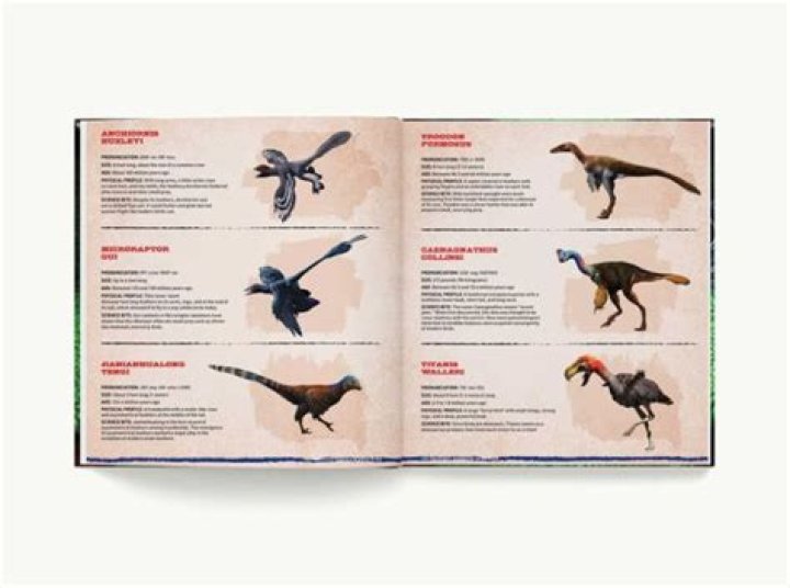 Discoveries From Professional Cuddler Devon Rose Damon