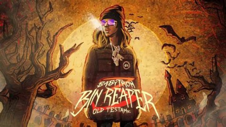 Discovering Babytron: The Rise Of A Musical Phenomenon