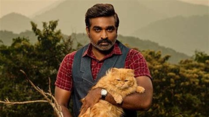 Discovering The Vibrant Journey Of Vijay Sethupathi Young