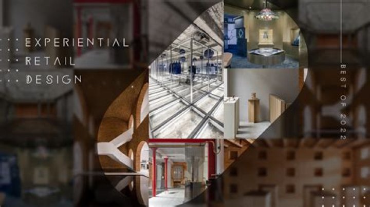 Dive Into A Realm Of Discovery