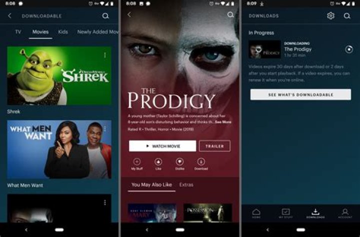 DownloadHub: Your Ultimate Guide to Downloading Movies and TV Shows Safely and Legally