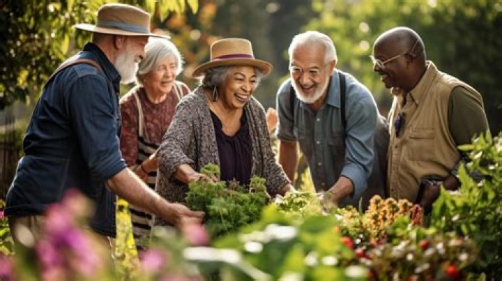 Enhance Elderly Well-being With Surprising Discoveries