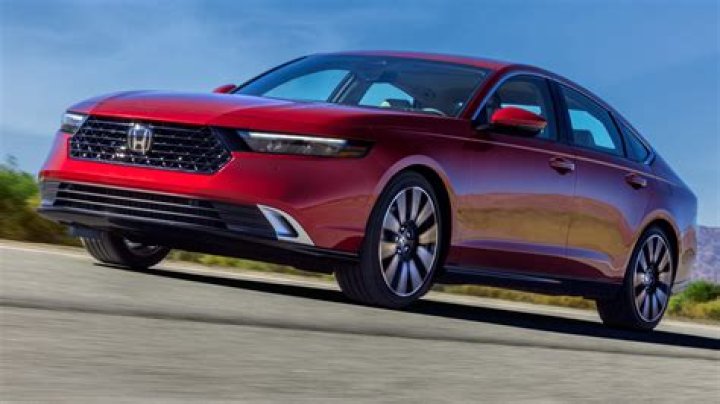 Enhance Your Horse's Style And Performance