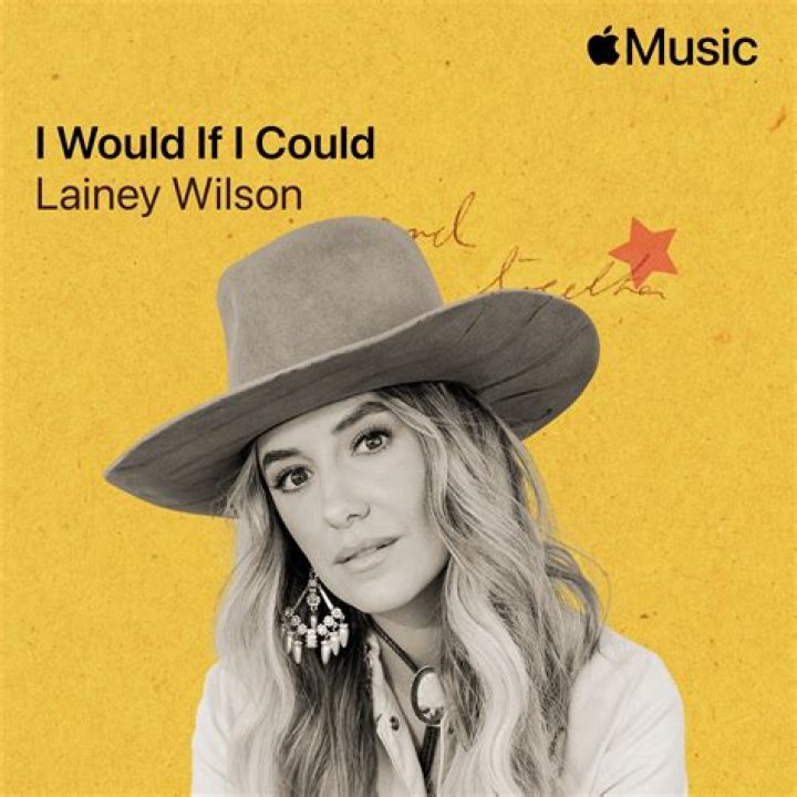 Exceptional Insights Into "I Would If I Could" By Lainey Wilson For The Tessa-Hilton Niche!