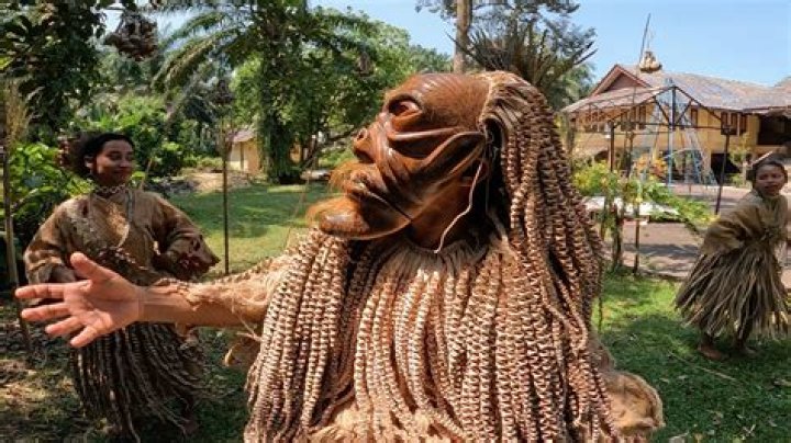 Exploring Her Wiki For Surprising Discoveries