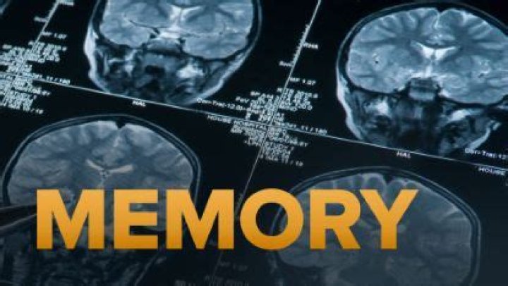 Exploring The Depths Of Identity, Memory, And The Human Condition