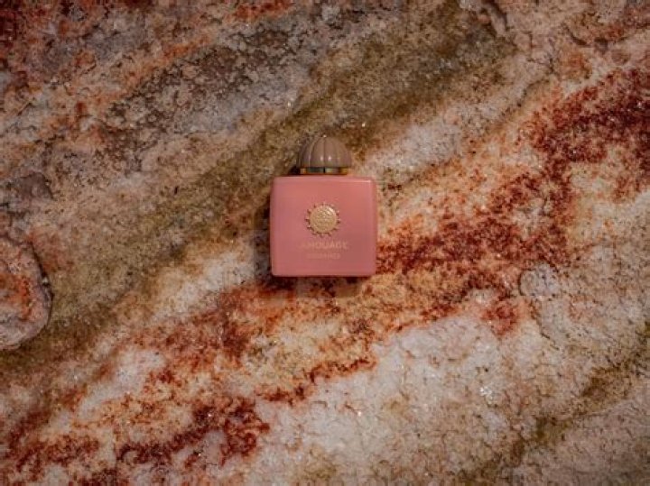 Exploring The Fascination Of Momly: A Deep Dive Into The World Of 'Momly'