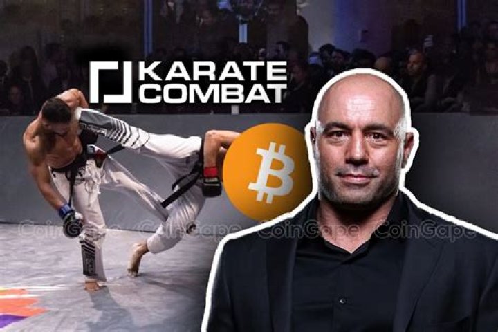 Exploring The Fighting Career Of Joe Rogan: Did He Ever Fight?