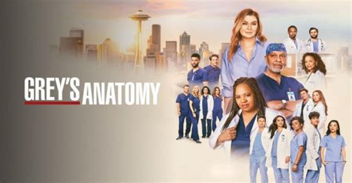 Exploring The Heart And Soul Of Grey's Anatomy: A Deep Dive Into The Iconic Medical Drama