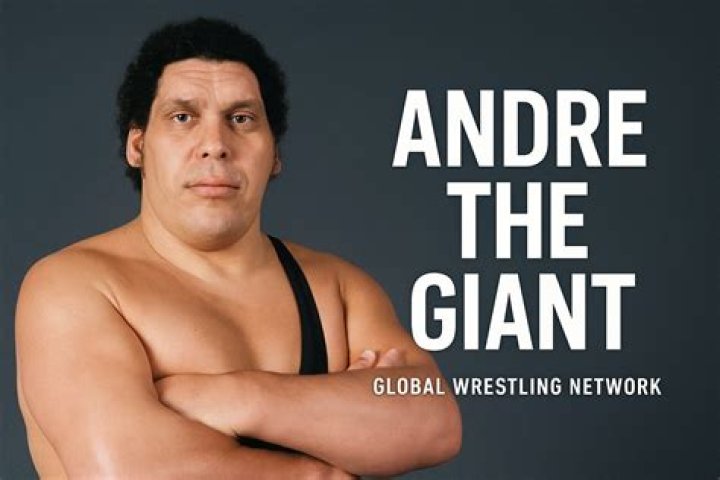 Exploring The Intricate Web Of Andre The Giant Relationships