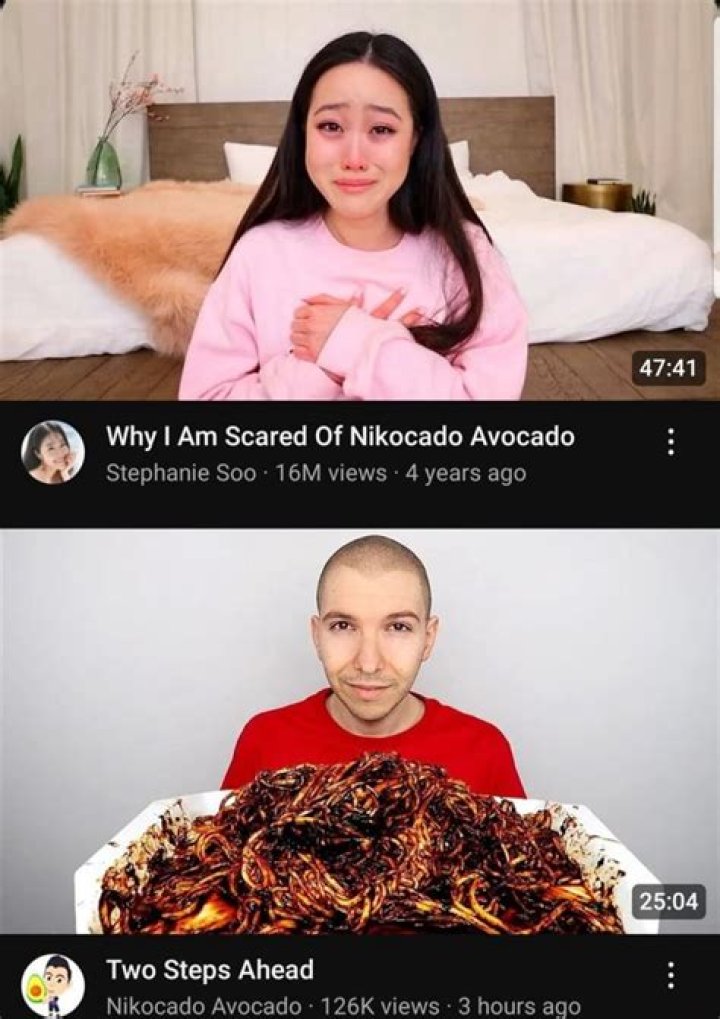 Exploring The Life And Age Of Nikocado Avocado