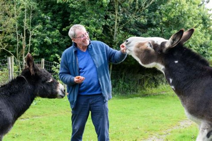 Exploring The Life And Career Of John Nettles: The Esteemed British Actor